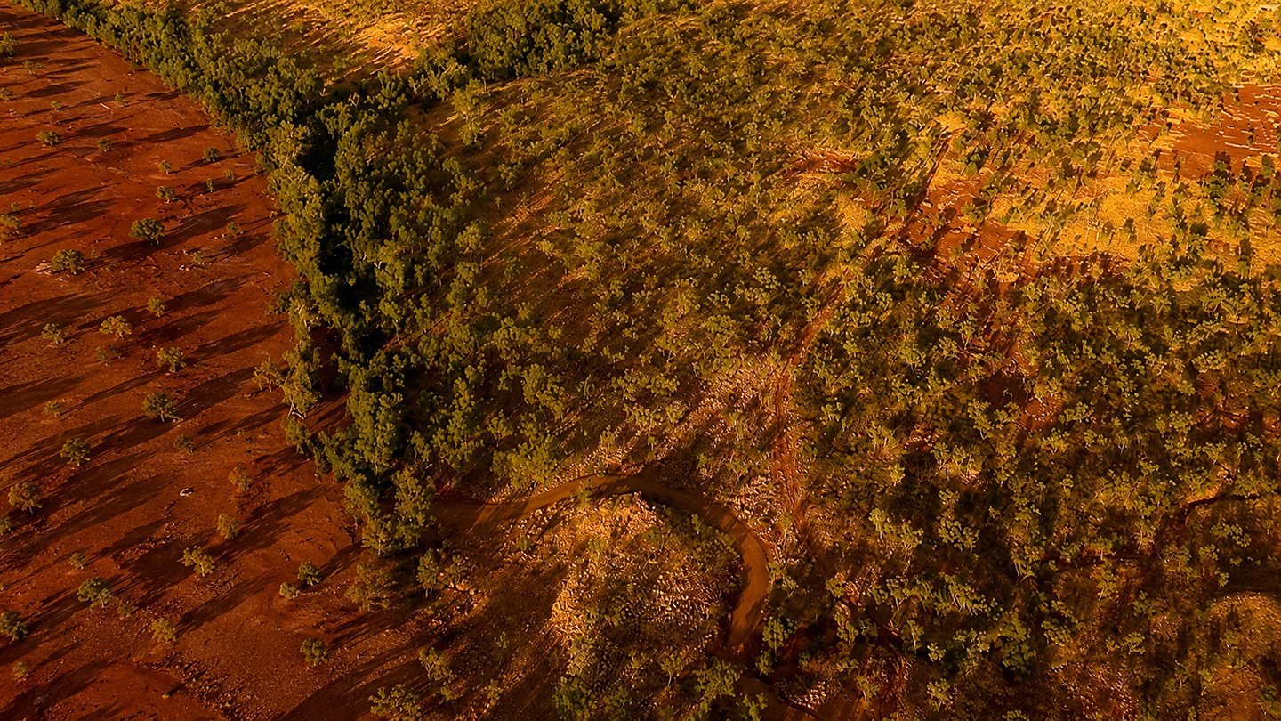 Cloncurry country from the air at low sun: bare red earth on one side, dark timber and gold spinifex on the other, with a track curving between them.