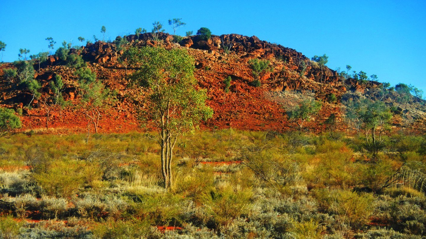A stony rise near Duchess in the Selwyn Range country: broken iron-rich rock weathered to dusty orange in full sun, with spinifex and a young eucalypt below it.