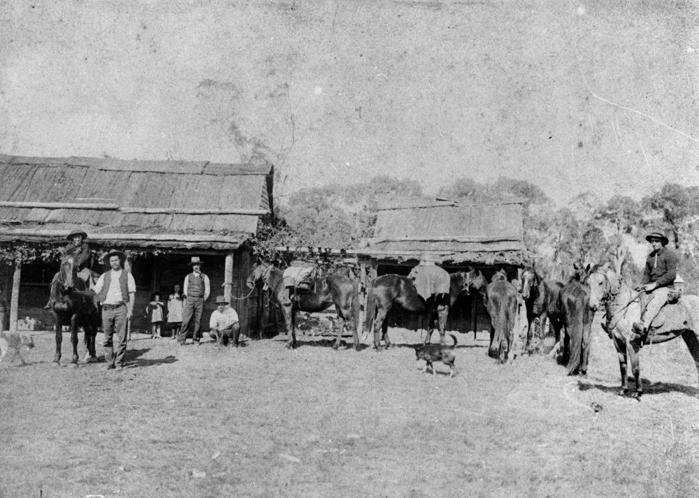 A group of drovers with their horses at Auburn Station in Queensland around 1900, standing and mounted in open country beside their working plant.