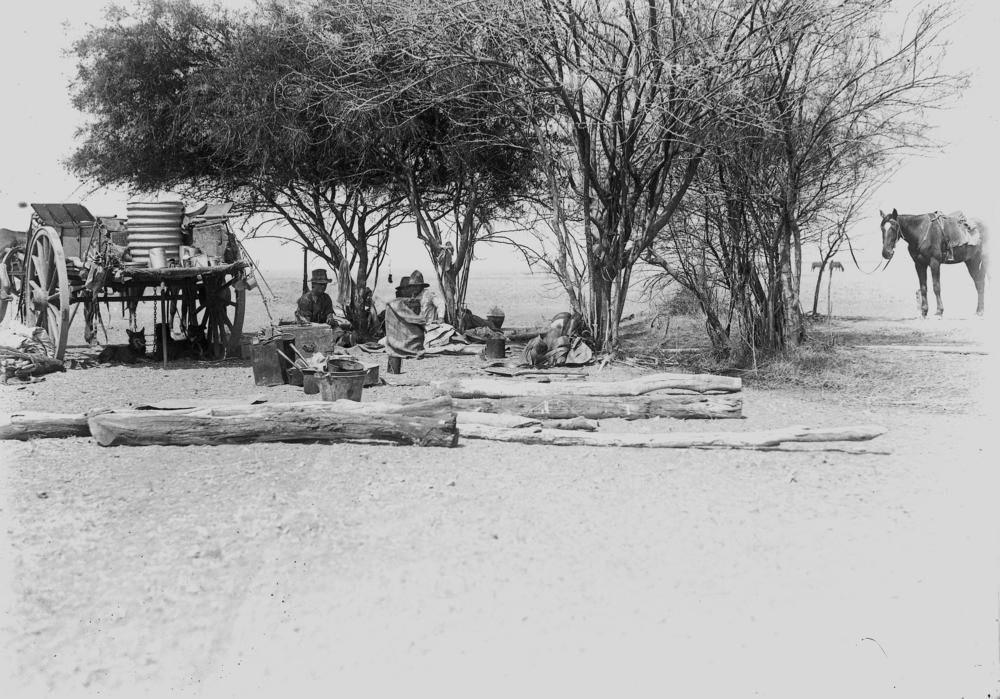 A drovers camp near Hughenden around 1916, with swags, camp gear and horses among sparse timber.