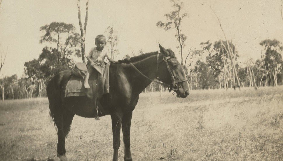 A young Aboriginal boy seated on the back of a large saddled horse in open eucalypt country in 1933. He sits forward near the pommel with one hand on the saddle, and the horse stands quietly with its head lowered.
